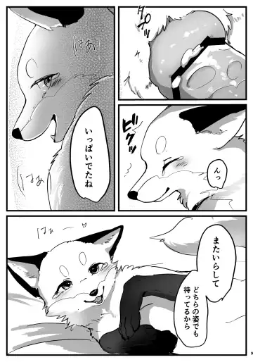 [Momou] Okitsune-sama to Yotsu Ashi Ecchi Fhentai - Page 7