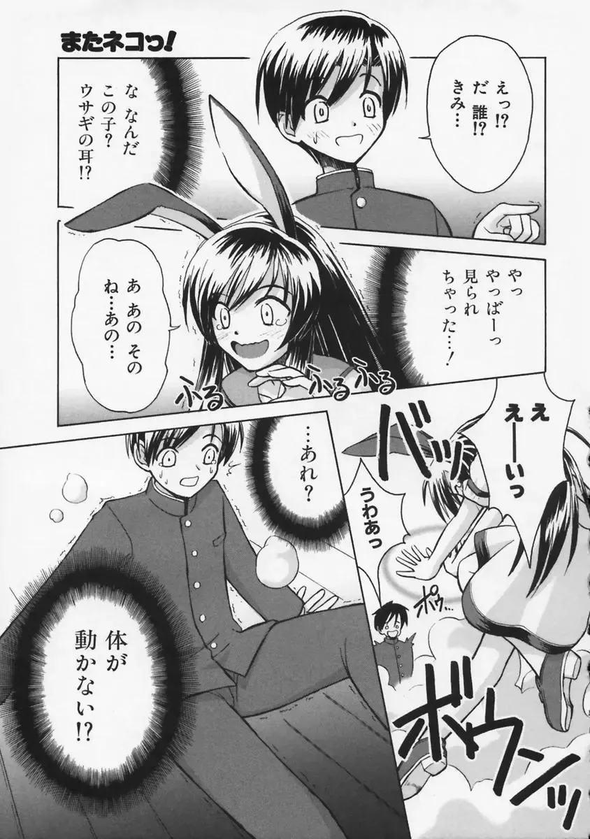 [Beti] Mataneko! Fhentai - Page 12