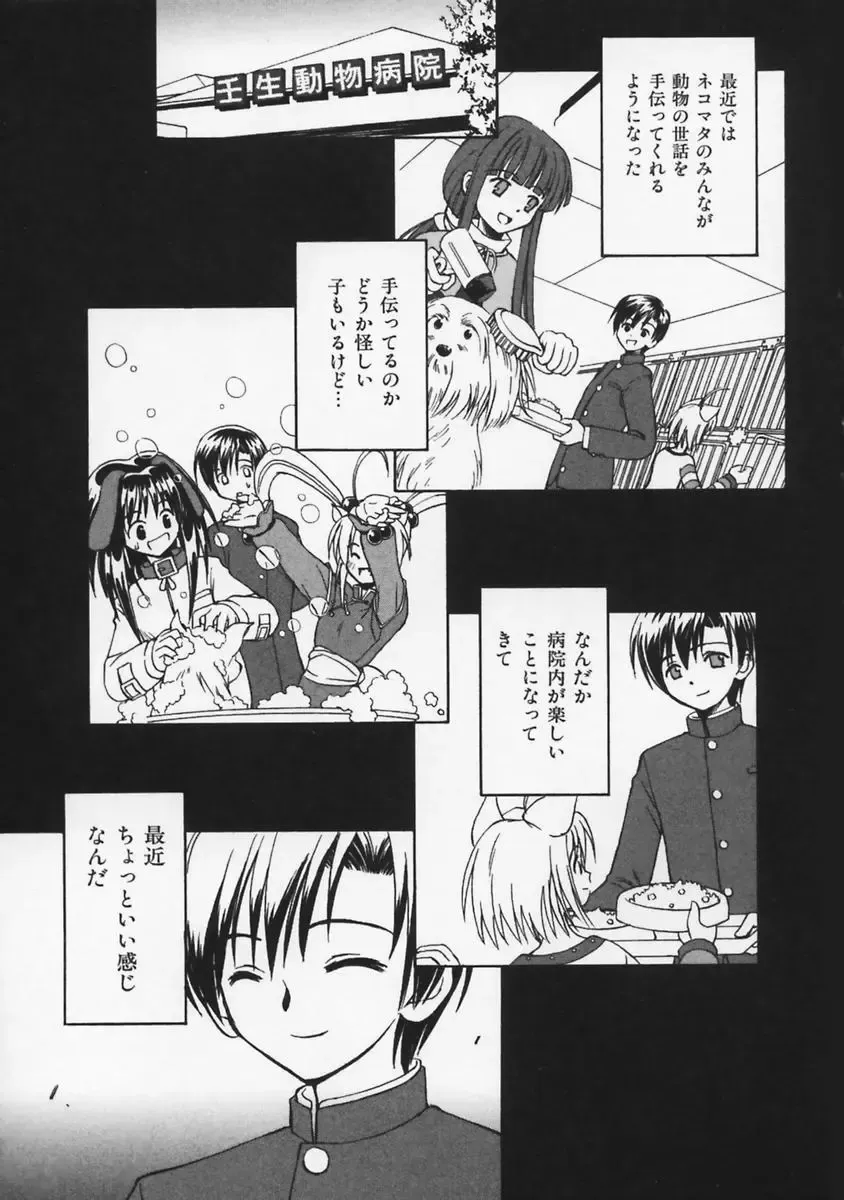 [Beti] Mataneko! Fhentai - Page 84