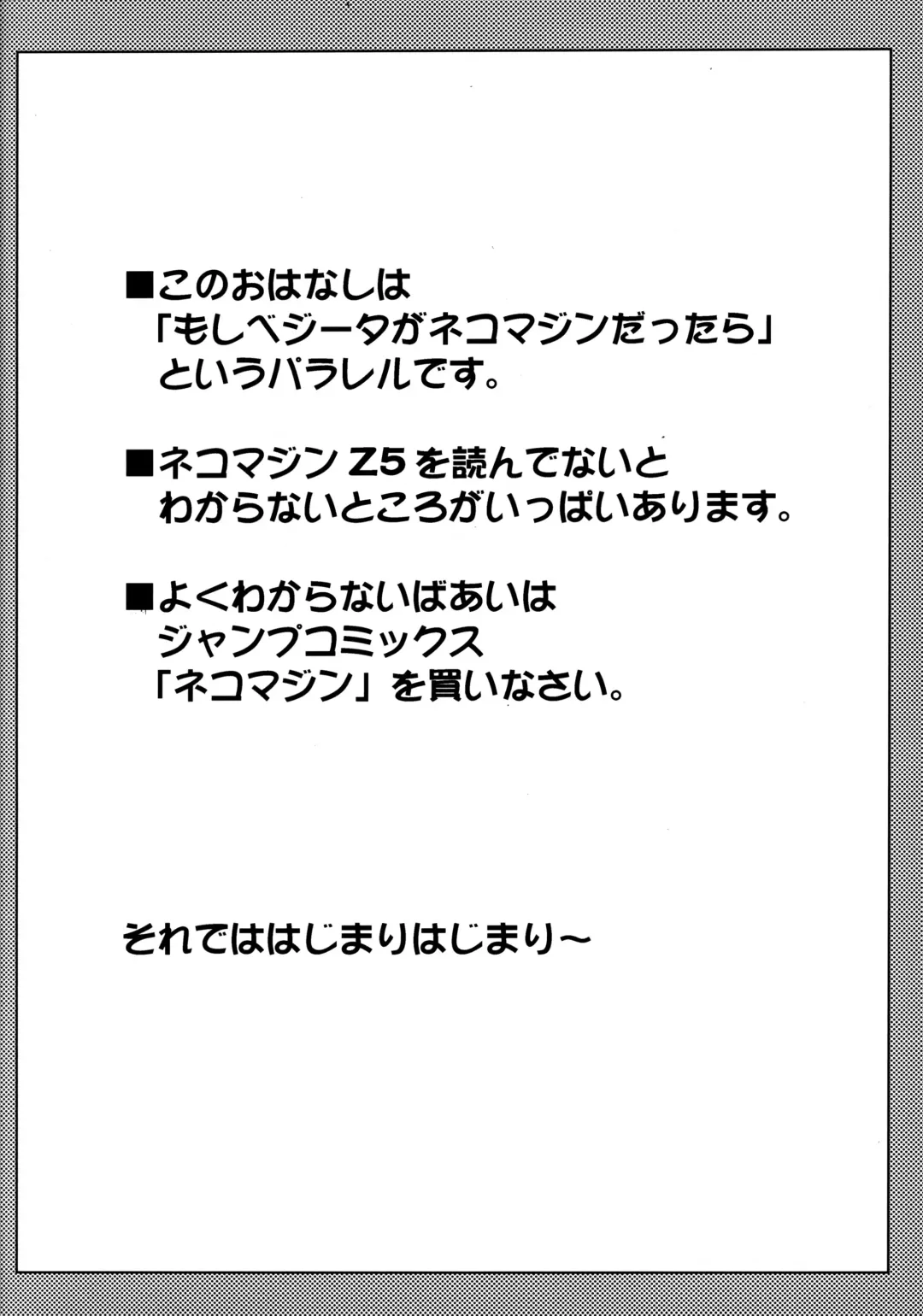 [Ossan] Dragonball Fan Book SPECIAL Fhentai - Page 21