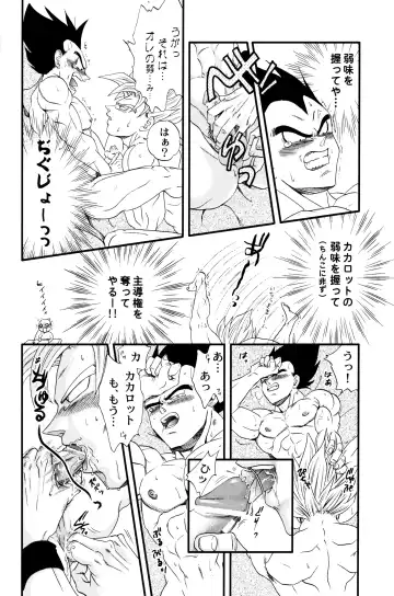 [Ossan] Dragonball Fan Book SPECIAL Fhentai.net - Page 15