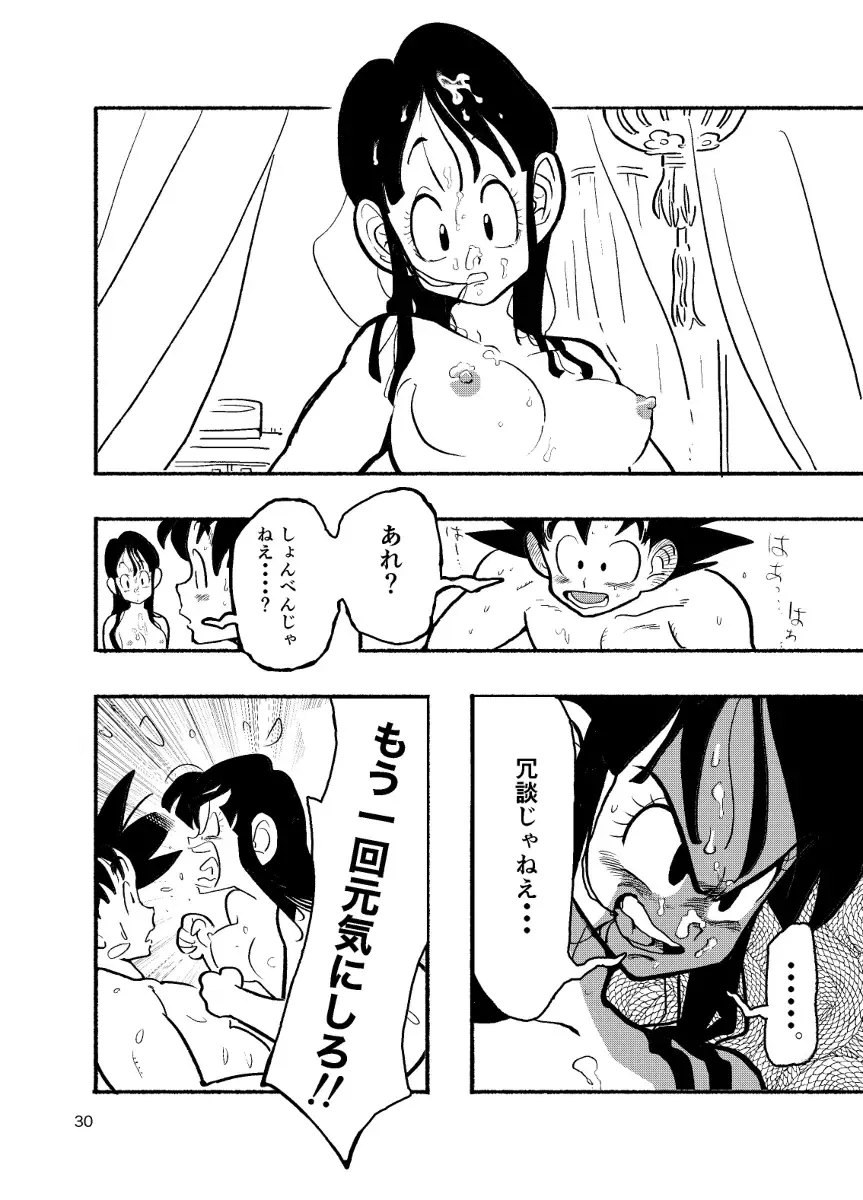 [Syohei] Dragon Ball Fanbook GokuxChihci Fhentai - Page 28