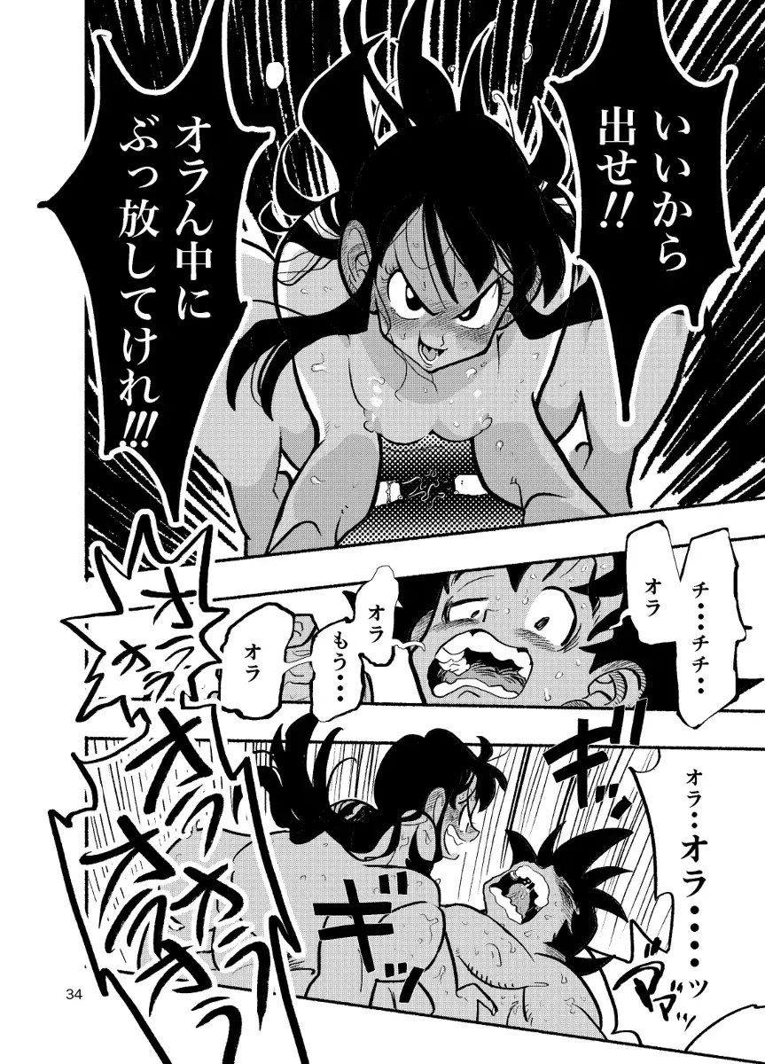 [Syohei] Dragon Ball Fanbook GokuxChihci Fhentai - Page 32