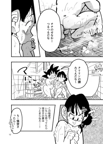 [Syohei] Dragon Ball Fanbook GokuxChihci Fhentai - Page 10