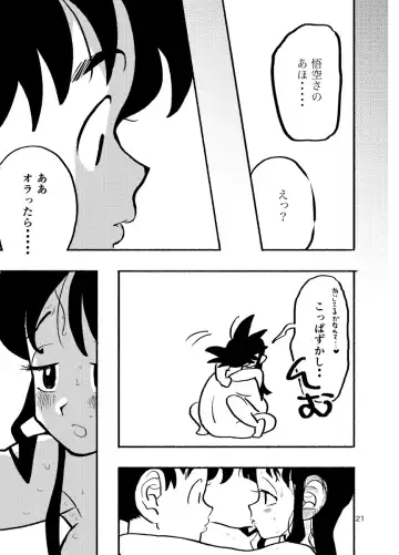 [Syohei] Dragon Ball Fanbook GokuxChihci Fhentai - Page 19