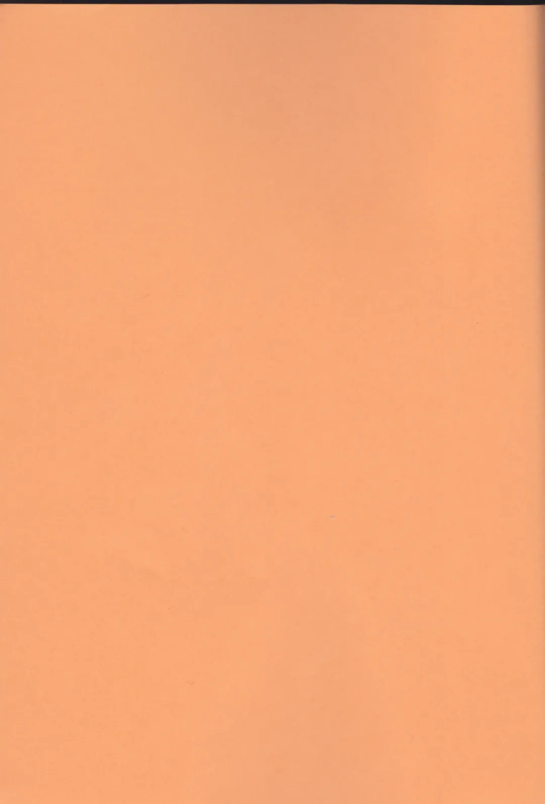 [Ibuki You] Kamikaze 2 Fhentai - Page 2