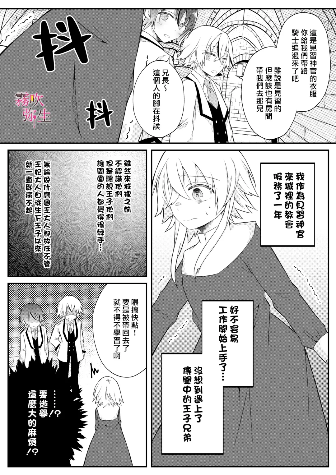 [Hatori Hato] Dekiai Kei Yandere Kyoudai Ouji wa Itoshi no Shinkan Mazoku Ochi Sasetai | 溺愛係病嬌王子兄弟想讓心愛的神官墮落成魔族 Fhentai.net - Page 9