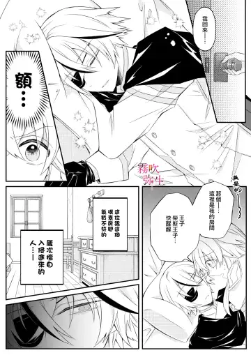 [Hatori Hato] Dekiai Kei Yandere Kyoudai Ouji wa Itoshi no Shinkan Mazoku Ochi Sasetai | 溺愛係病嬌王子兄弟想讓心愛的神官墮落成魔族 Fhentai.net - Page 5