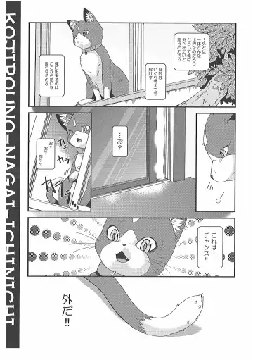 [Inumimi Moeta] Short Story Fhentai.net - Page 13