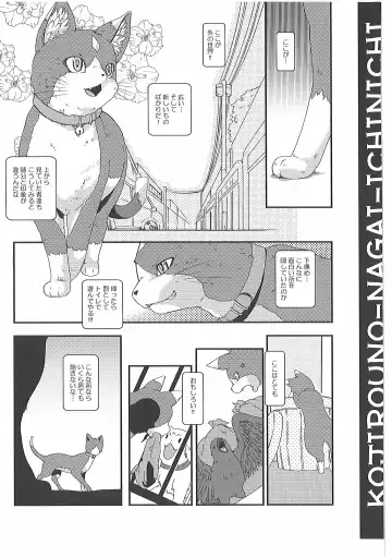 [Inumimi Moeta] Short Story Fhentai.net - Page 14