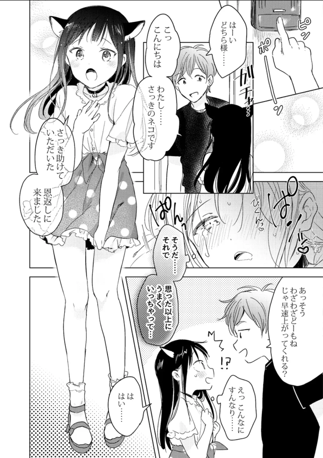 [Non] Neko wa Ongaeshi nado Shinai. Fhentai - Page 12