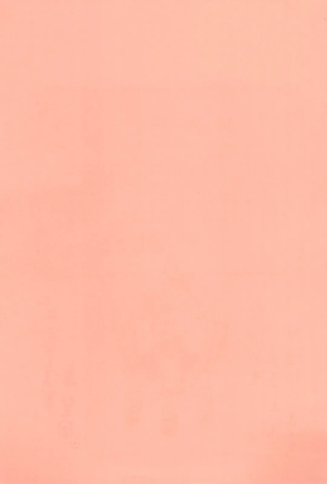 [Aji Maru] Jakushou de Chikushou Fhentai - Page 3