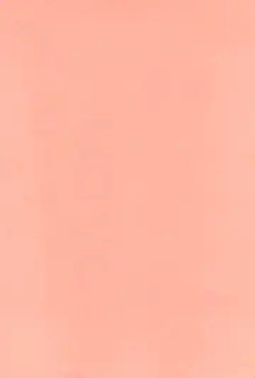 [Aji Maru] Jakushou de Chikushou Fhentai - Page 86