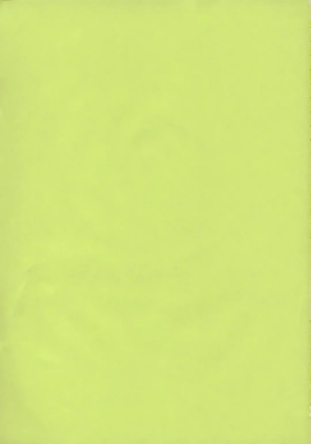 [Kame - Matsuri Miko] E.R.T Fhentai - Page 2