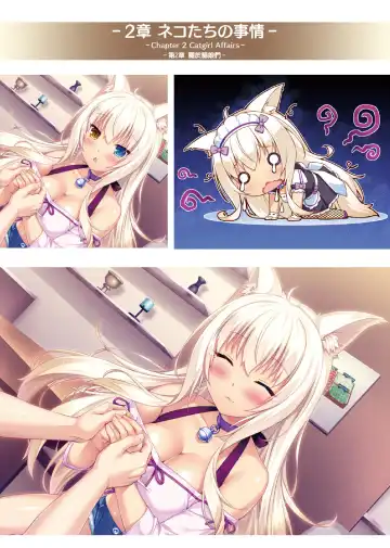 [Sayori] NEKOPARA ART WORKS Vol.2 Fhentai.net - Page 26