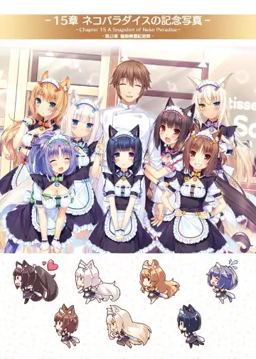 [Sayori] NEKOPARA ART WORKS Vol.3 Fhentai.net - Page 45