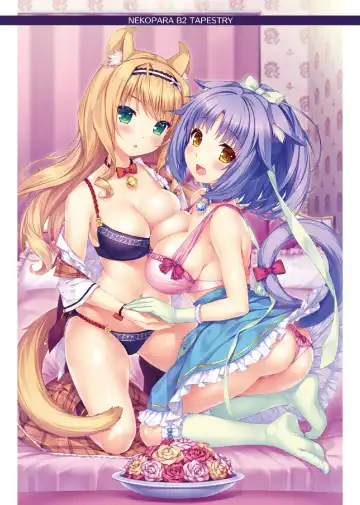 [Sayori] NEKOPARA ART WORKS Vol.3 Fhentai.net - Page 49