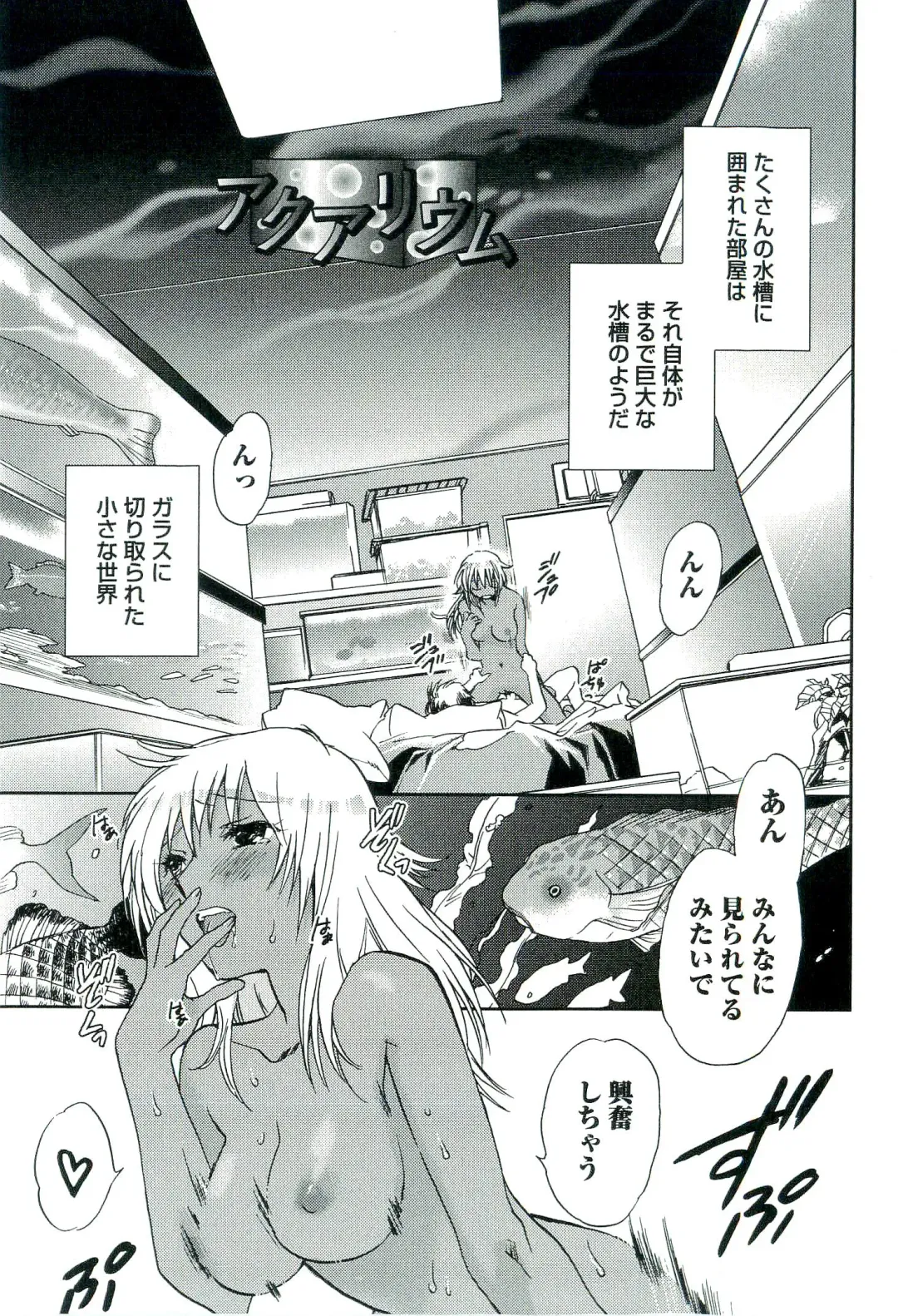 [Okano Ahiru] Shihou Batake de Tsukamaete Fhentai.net - Page 176