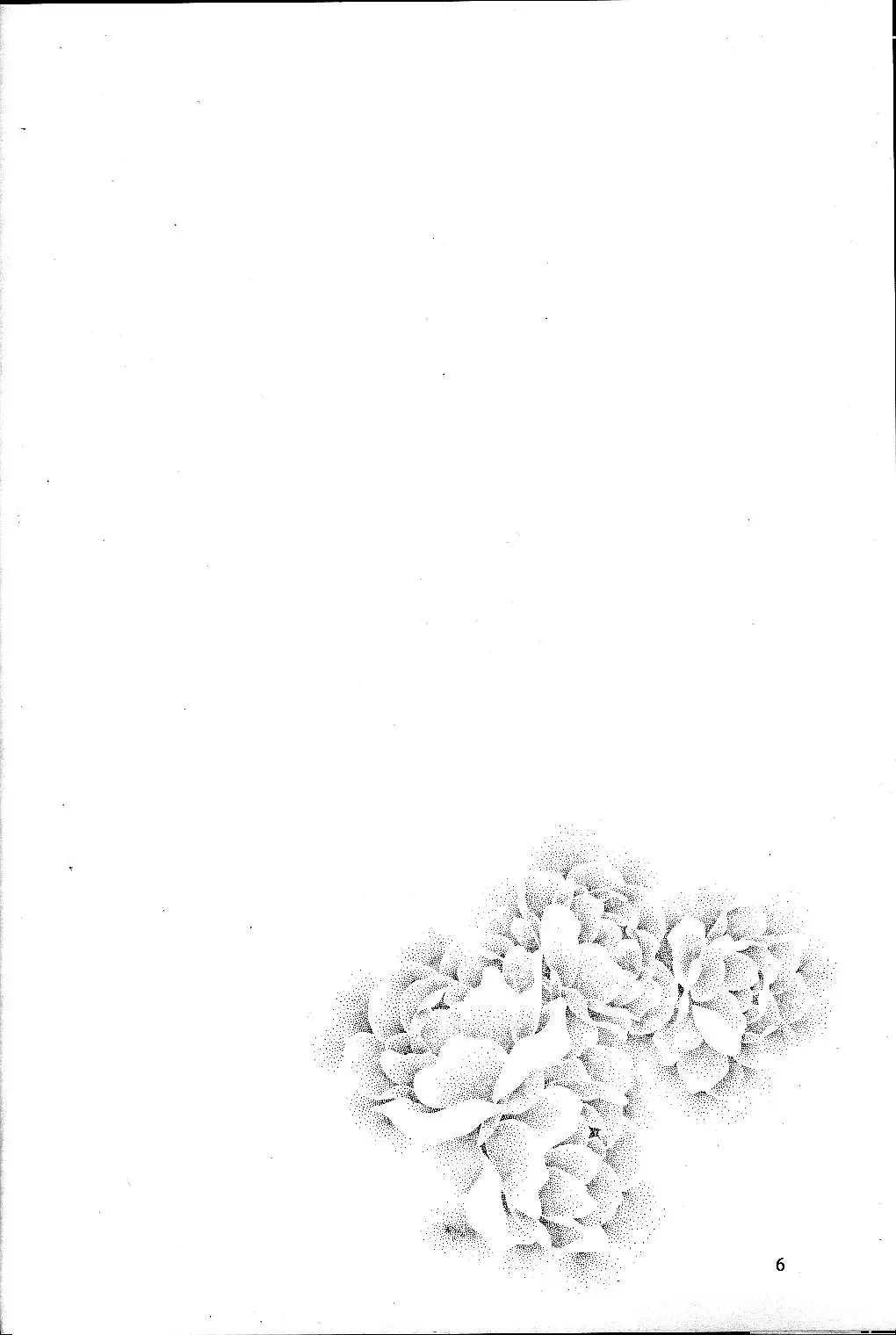 [Aizawa Hiroshi] Shiori Dai-Kyuu-Shou Garasugoshi no Real Fhentai - Page 5