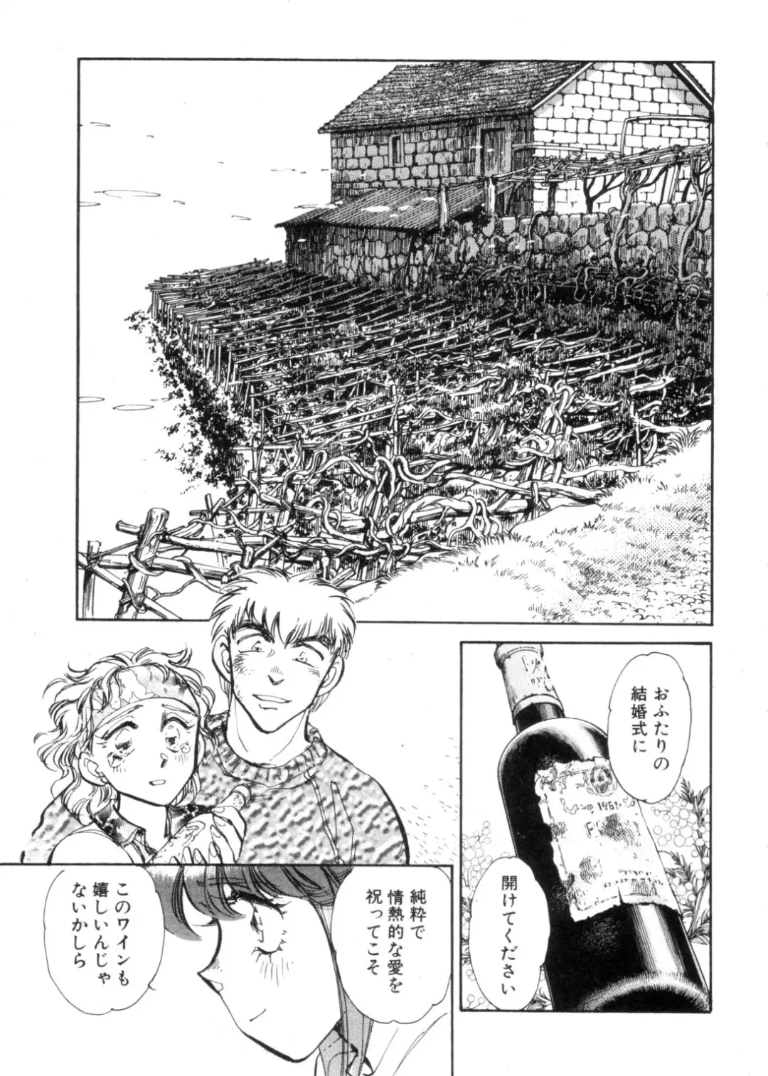 [Shibata Masahiro] Sarai Vol. 4 Fhentai - Page 66