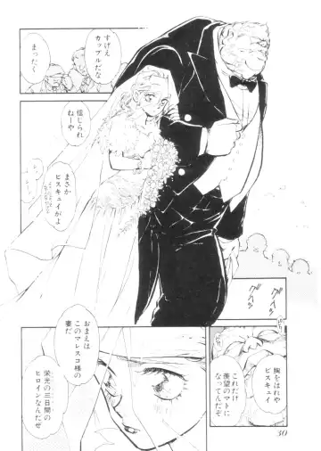 [Shibata Masahiro] Sarai Vol. 4 Fhentai - Page 29