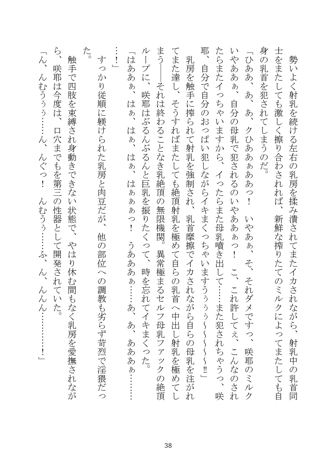 [Rindou] Matai Toshi Xth ~Sakuya-Corrupution~ Fhentai - Page 39