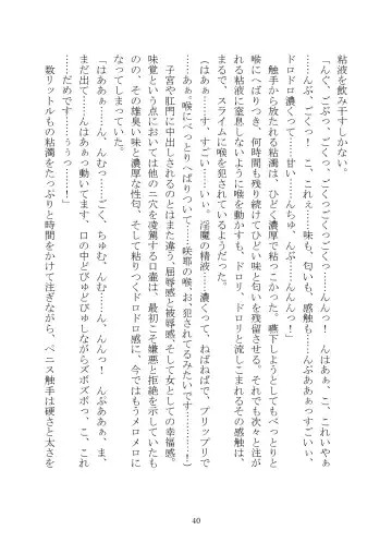 [Rindou] Matai Toshi Xth ~Sakuya-Corrupution~ Fhentai - Page 41