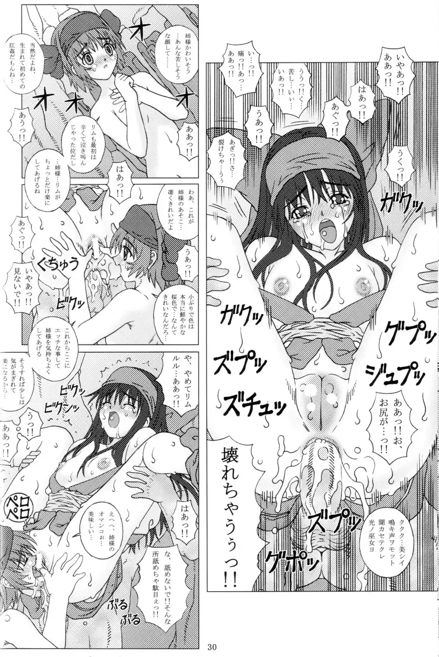 [Fukami Naoyuki] Junk Inbaku no Miko Fhentai - Page 29