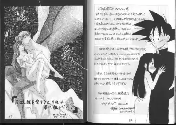 Dragonball for adult Fhentai - Page 18