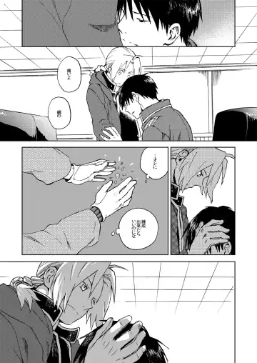 [Mattz] Ineffective medicine (No medicine can cure folly)! Fhentai - Page 26