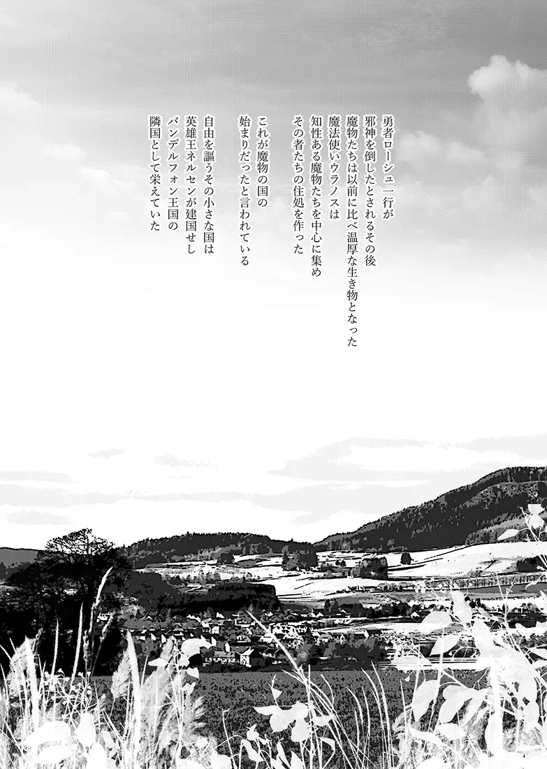 [Tokidoki Tidori] Mamono no Kuni no Himegimi Fhentai - Page 4