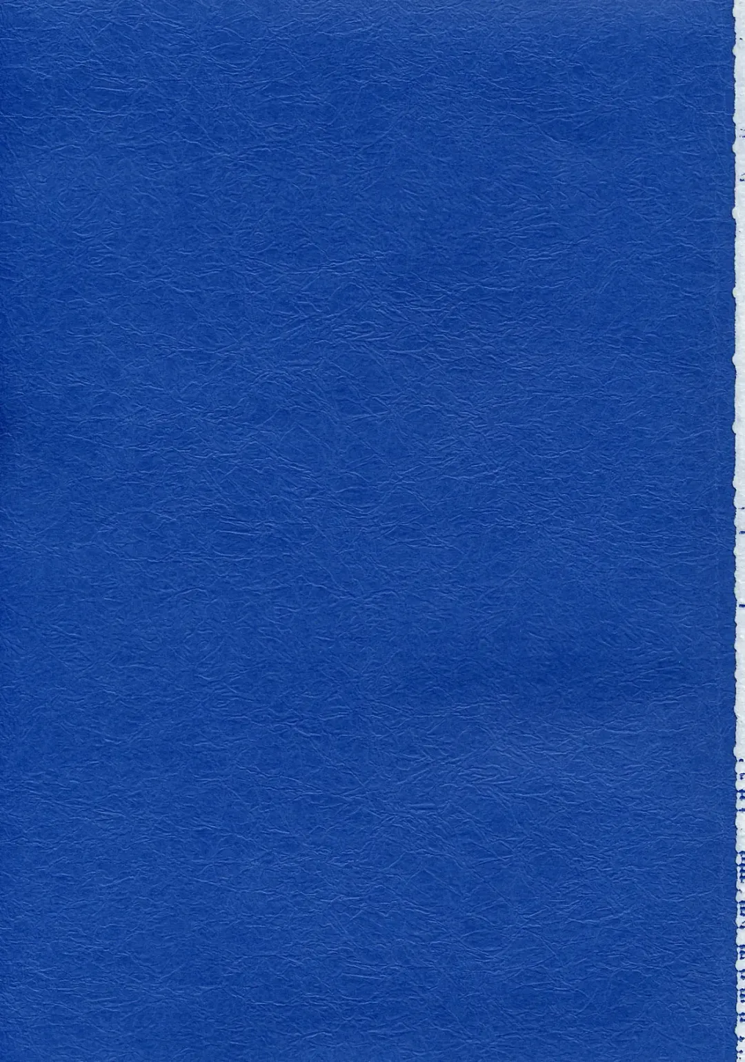 [Harada Shoutarou] Ruridou Gahou CODE:19 Fhentai - Page 3