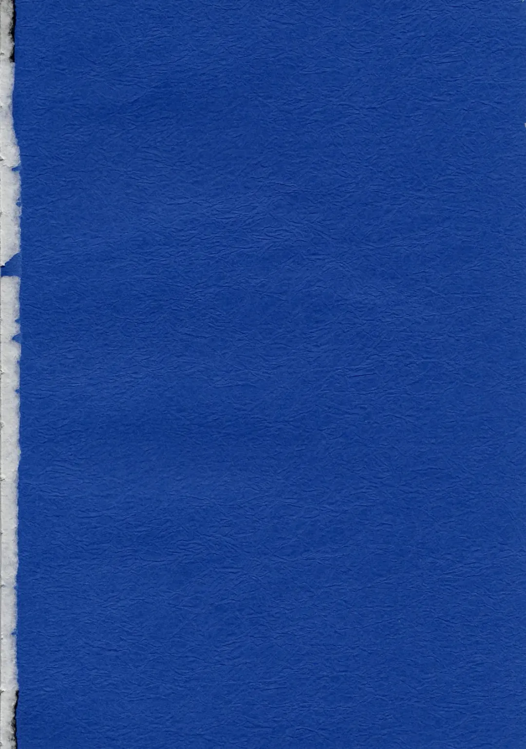 [Harada Shoutarou] Ruridou Gahou CODE:19 Fhentai - Page 4