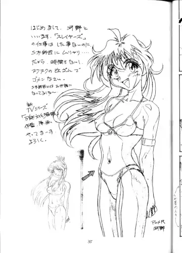 [Obata Hiroyuki - Yokoyama Chicha] Slayers Minimum Fhentai.net - Page 34