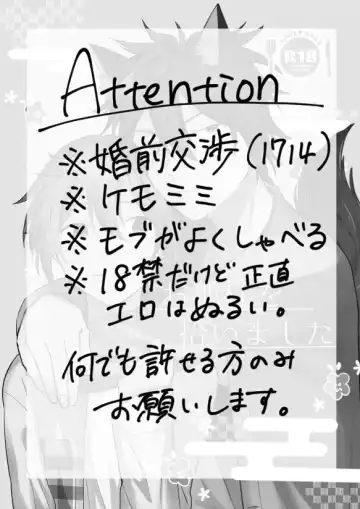 [Yano] Okitsune-sama o Hiroimashita Fhentai - Page 2