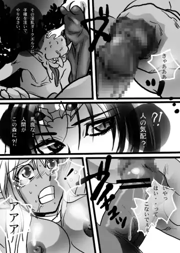 [Loco - Shiosai Reach] Hai no Elf Fhentai - Page 49