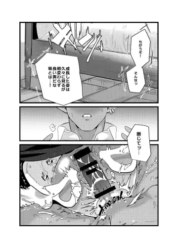 [Suzukino Masiro] Momonga-sama Anone, Sono Ato no Ato Fhentai.net - Page 28