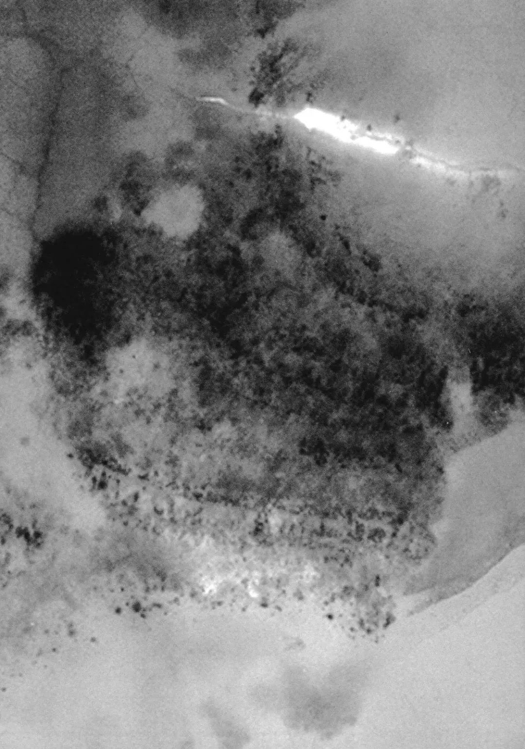 [Inoue Kiyoshirou] No Mercy Fhentai - Page 193