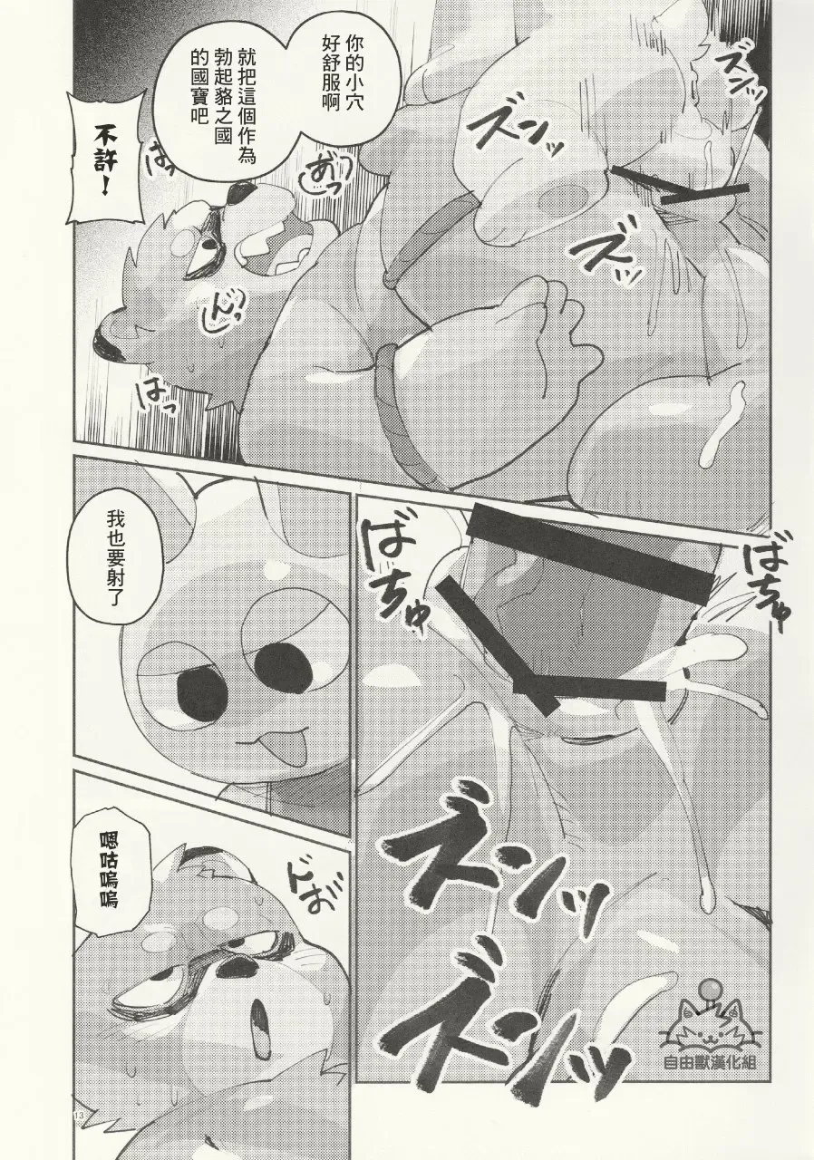 Kachi-Kachi Yama | 硬~~~邦邦山 [Chinese] [自由獸漢化组］ Fhentai.net - Page 14