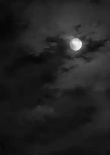 [Yukino Minato] Hikari no Kimi no Saganaki Keikaku <Soushuuhen> Fhentai - Page 127