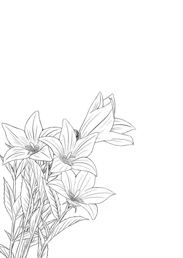 [Yukino Minato] Hikari no Kimi no Saganaki Keikaku <Soushuuhen> Fhentai - Page 147