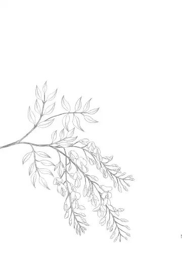 [Yukino Minato] Hikari no Kimi no Saganaki Keikaku <Soushuuhen> Fhentai - Page 87