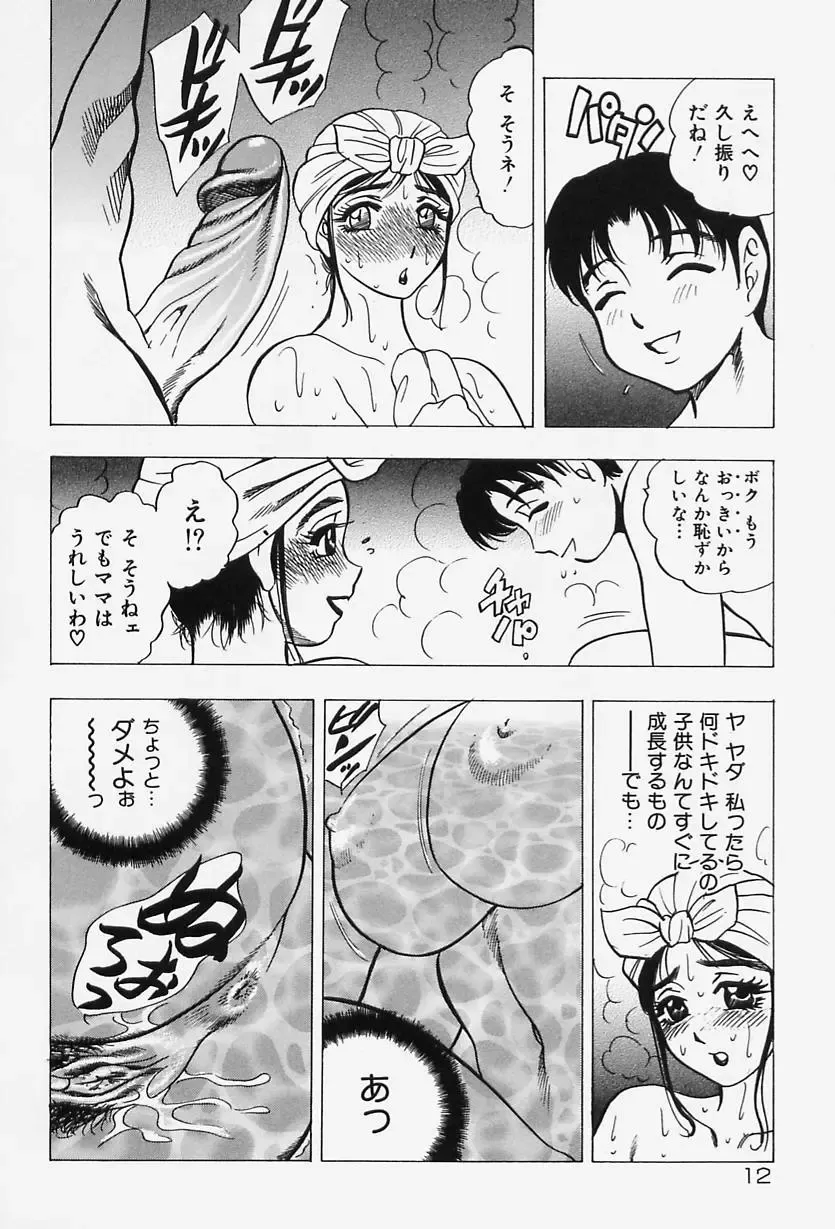 [Bijogi Junction] Shukujo No Seiheki Fhentai.net - Page 14