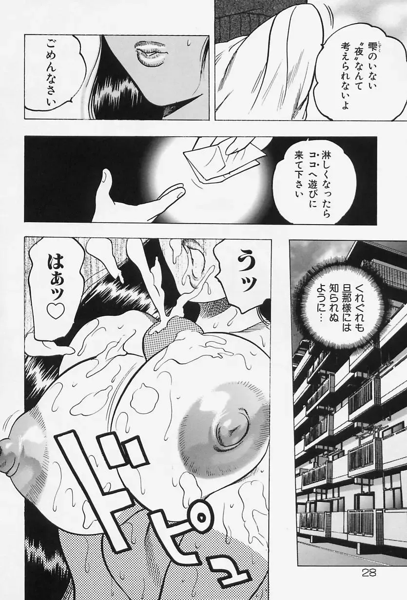 [Bijogi Junction] Shukujo No Seiheki Fhentai.net - Page 30