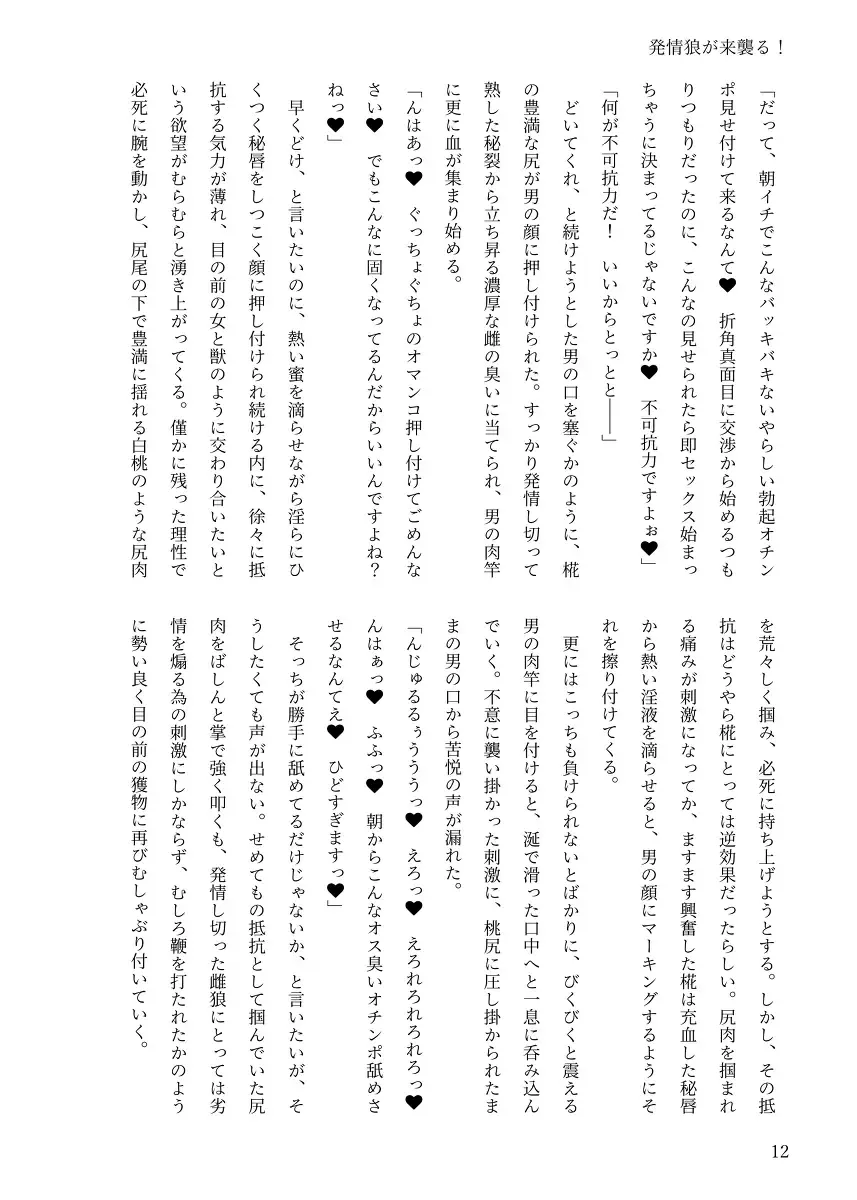 [Chin] 【例大祭20新刊】東方R-18小説本「発情狼が来襲る！」 Fhentai - Page 11