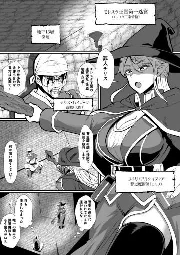 [Protohotel] Irekawari no Wana ~Elf Majutsushi Liza no Kikan~ Fhentai.net - Page 2