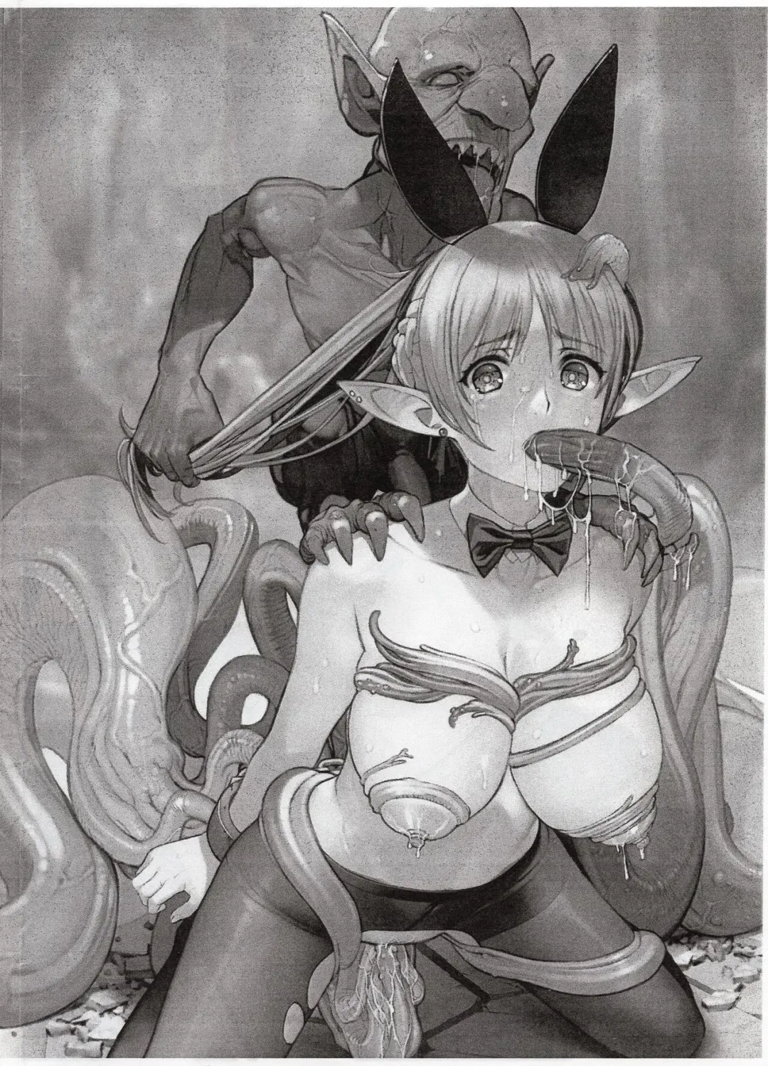 [Mibu Natsuki] ELFVS Fhentai - Page 2