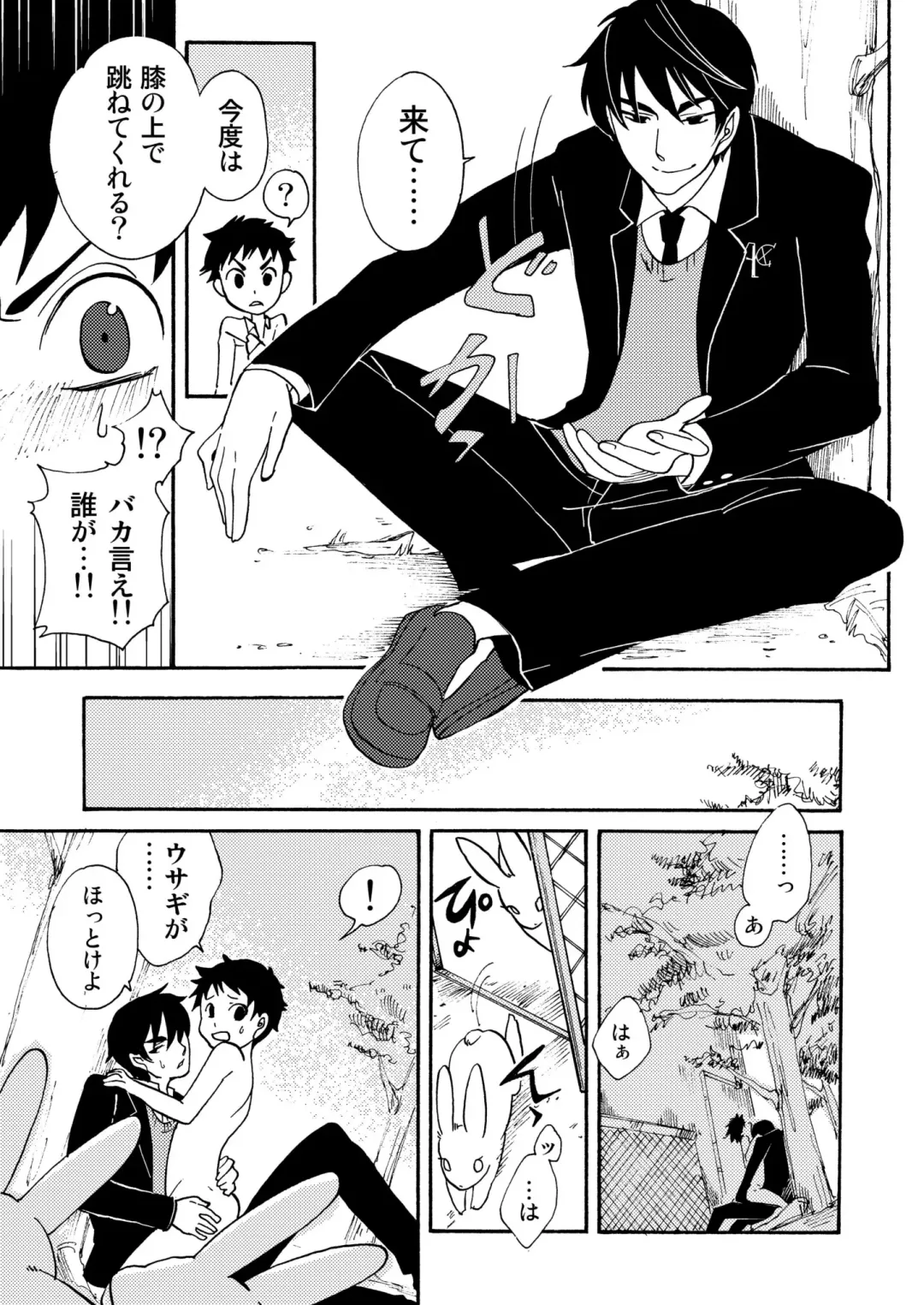 [Siodamari] Usagi no Koe Fhentai - Page 13