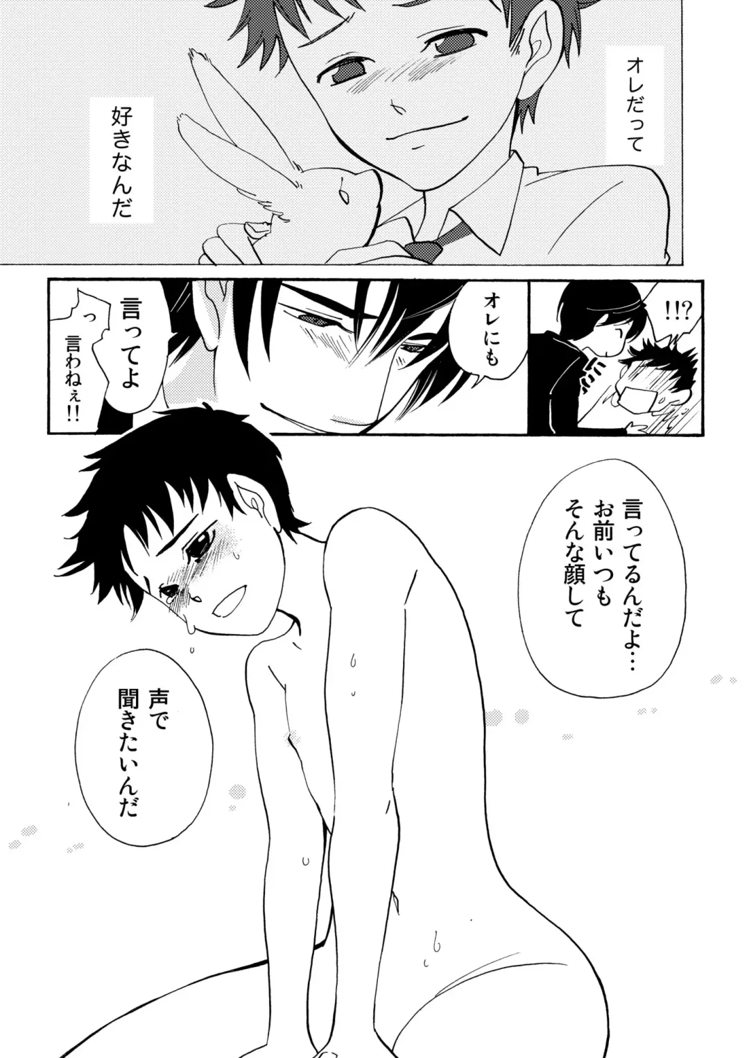 [Siodamari] Usagi no Koe Fhentai - Page 17