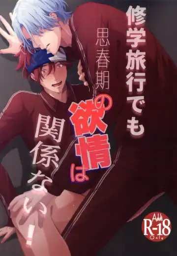 Read [Inaba] Shūgakuryokō demo shishunki no yokujō wa kankeinai! - Fhentai.net